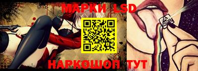 spice Кунгур