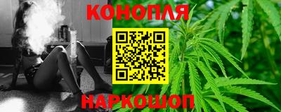 spice Кунгур