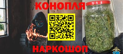 spice Кунгур