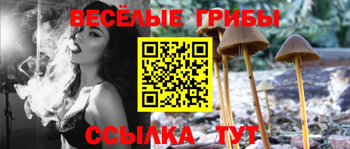 Псилоцибиновые грибы прущие грибы  Вход с VPN  Галлюциногенные грибы Psilocybine cubensis  Электросталь 